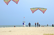 Cervia Cup - Euro Cup 2013 - 108